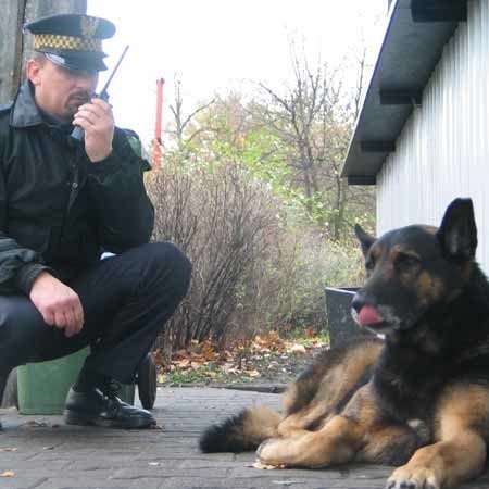 St. insp. Roman Chorążyk ze straży miejskiej przez kilka godzin pilnował tego psiaka, zanim znalazło się dla niego miejsce w Kiełczu.