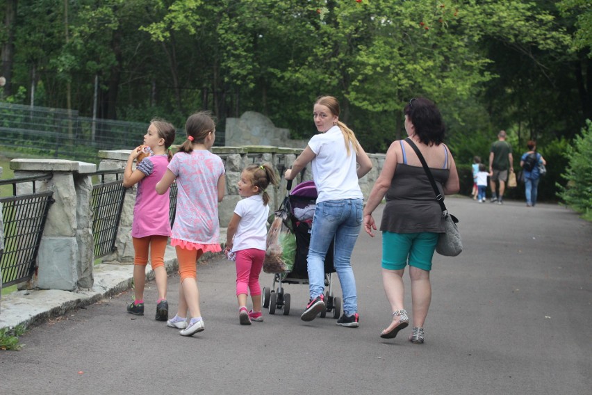 Śląski Ogród Zoologiczny ma małą samicę wielkiego kudu 