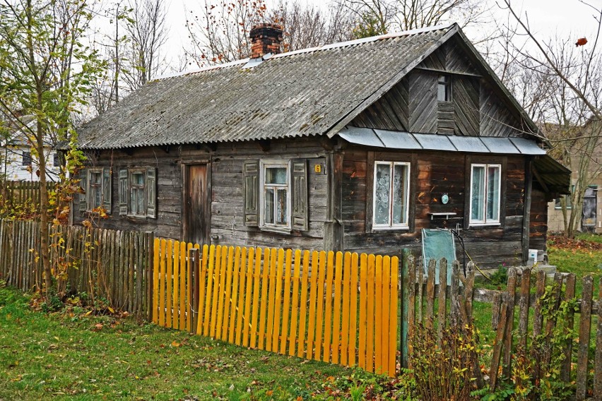 Łoknica (na zdj.) jest tylko jedna