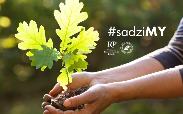 Nadleśnictwo Polanów dołączyło do ogólnopolskiej akcji Lasów Państwowych #sadziMY. W ten czwartek i piątek można zgłosić się po darmowe sadzonki drzewek.
