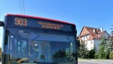 Autobusem podmiejskim z Żórawiny do Wrocławia. Rusza nowe połączenie