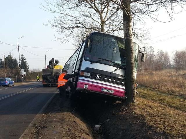 W Grębocinie autobus uderzył w drzewo.