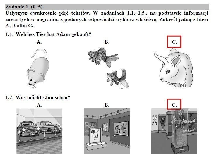 EGZAMIN GIMNAZJALNY 2018. Język niemiecki - arkusze CKE i...