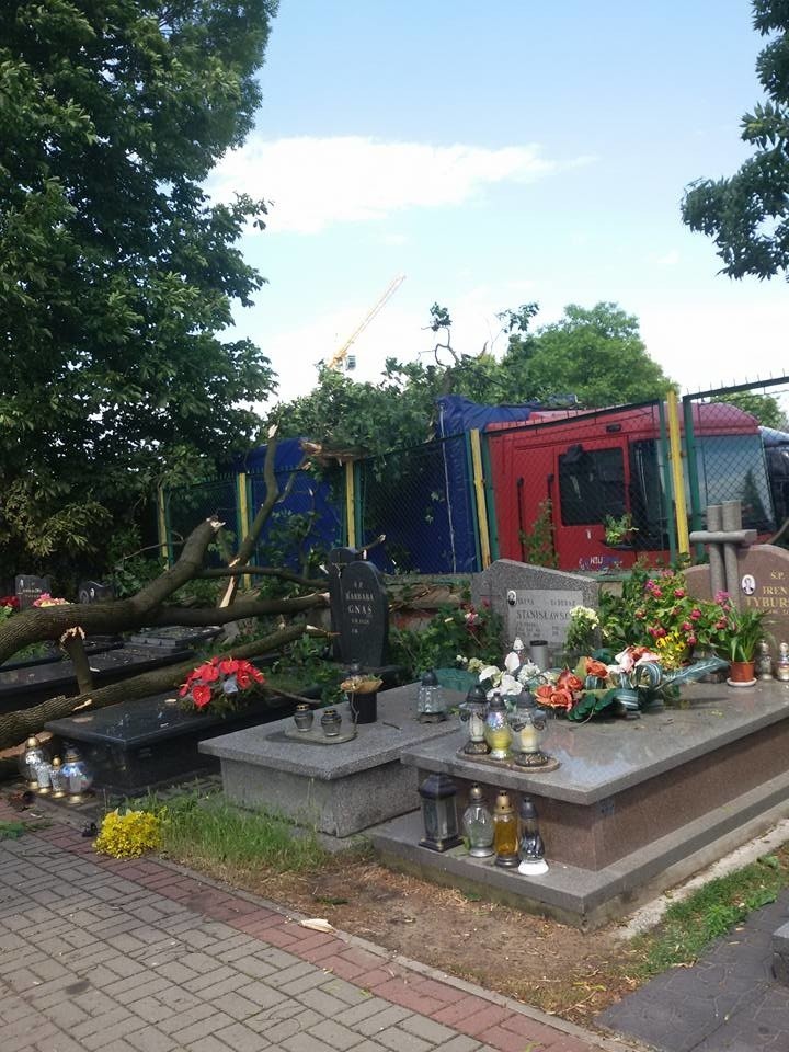 Cmentarz przy ulicy Warszawskiej w Radomiu.