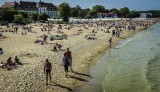 SINICE W BAŁTYKU. Prognozy zakwitu sinic. Jak będą wyglądać trójmiejskie plaże w najbliższych dniach?