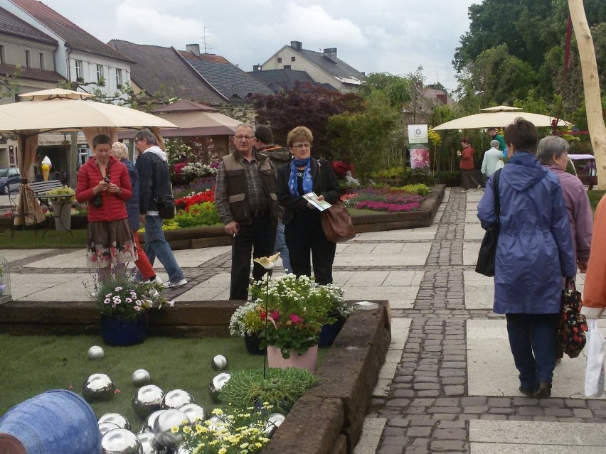 Rynek w Pszczynie na Daisy Days zmienił się w ogród