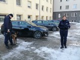 Policja w Łodzi ma nowe radiowozy i psy służbowe. Magistrat dofinansował ich zakup. Nowe auta zastąpią stare. Czym zajmą się psy?