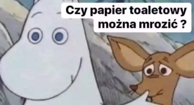 Memy o koronawirusie w Polsce. W ciągu kilku miesięcy koronawirus COVID-19 rozprzestrzenił się na całym świecie. Dotarł również do Polski. Mimo tego, że sytuacja jest poważna, znajdą się i tacy, którzy śmieją się z szalejącej epidemii. W sieci znajdziemy najróżniejsze memy o tej tematyce. Internauci po raz kolejny udowadniają, że mają dystans do obecnej sytuacji i tworzą śmieszne zestawienia.