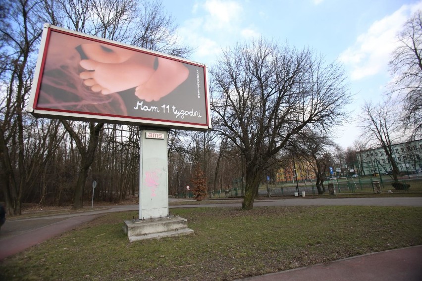 Kampania na ulicach śląskich miast....