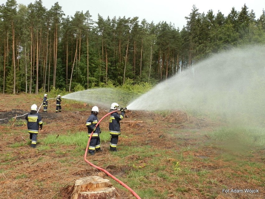 Ćwiczenia straży pożarnej. Pożar lasu w okolicach Rąbina.