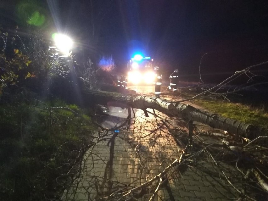 Sprawą podciętych drzew zajmuje się policja, która szuka...