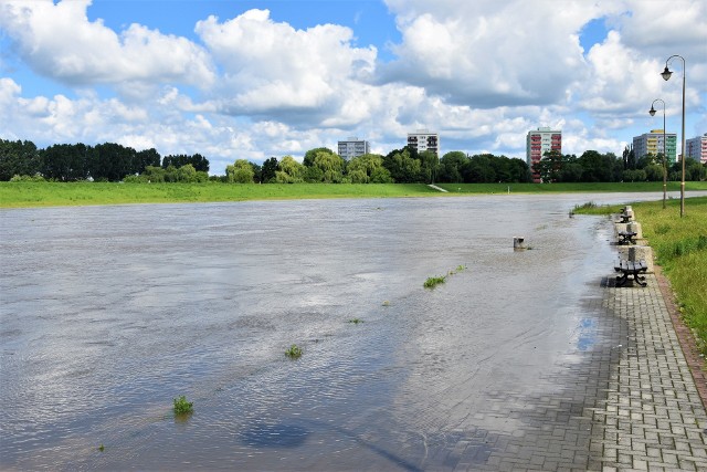 Poziom Odry i Kanału Ulgi w Opolu nadal wzrasta. Woda wylewa się z koryta i podchodzi do wałów.  Na zdjęciu: woda zalewa przystań na Pasiece.