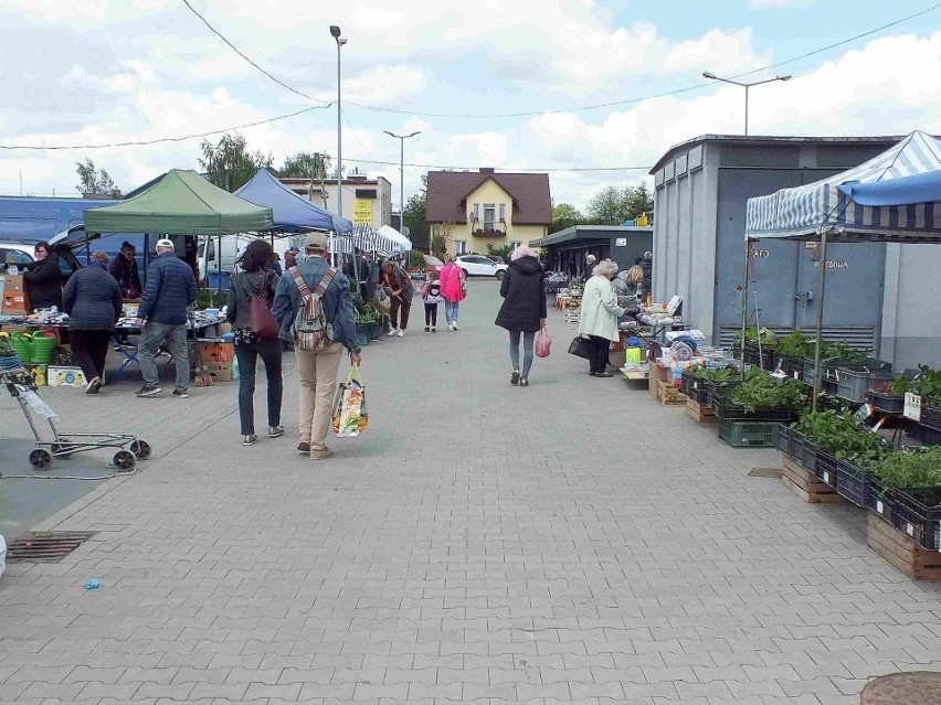 Starachowickie targowisko w sobotę, 28 maja. Duży ruch za kwiatami, nasionami i rozsadą. Zobacz zdjęcia