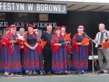 Borowa w gminie Gidle gościła uczestników Festynu Rodzinnego. ZDJĘCIA