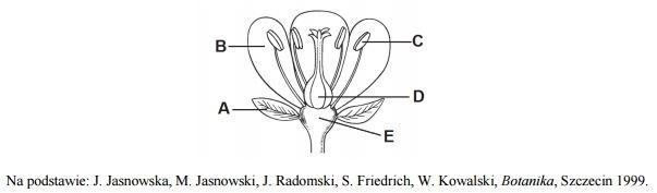 Matura 2016: BIOLOGIA rozszerzona [ODPOWIEDZI, ARKUSZ CKE]