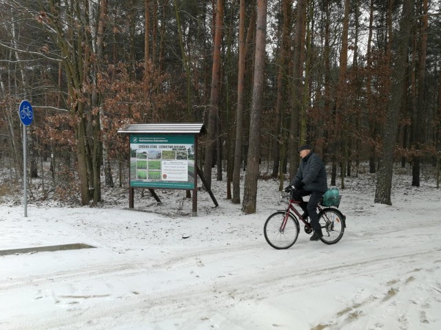 Mieszkańcy wschodniego Torunia, przede wszystkim Skarpy, bardzo sobie cenią leśny trakt i jego zielone otoczenie.