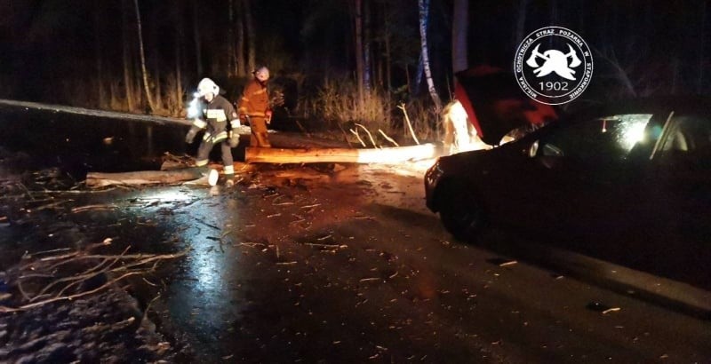 Nocna akcja strażaków ze Stąporkowa. Samochód uderzył w drzewo powalone przez wiatr. Zobaczcie zdjęcia