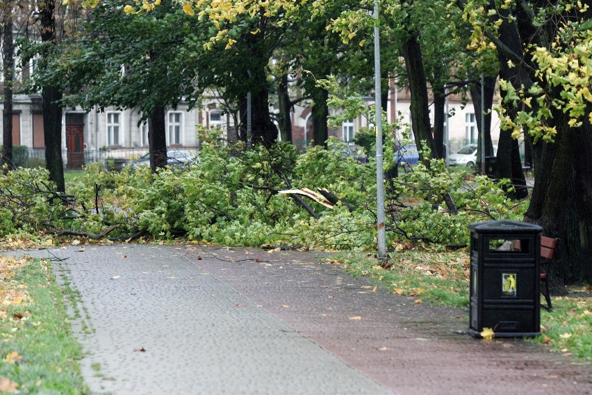 Niż Sabina w Polsce. Wichury wyrządzają spore szkody. Ponad...