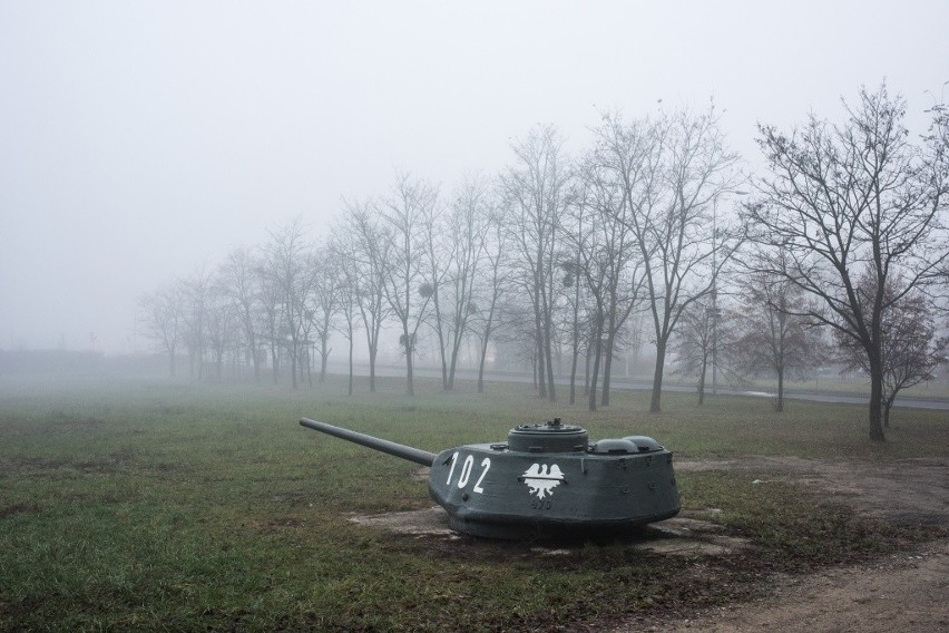 III miejsce/ Natura/ fotoreportaż...