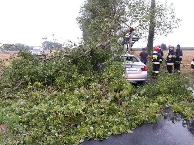 Tragedia w Głuponiach: Konar spadł na samochód, nie żyje niemowlak