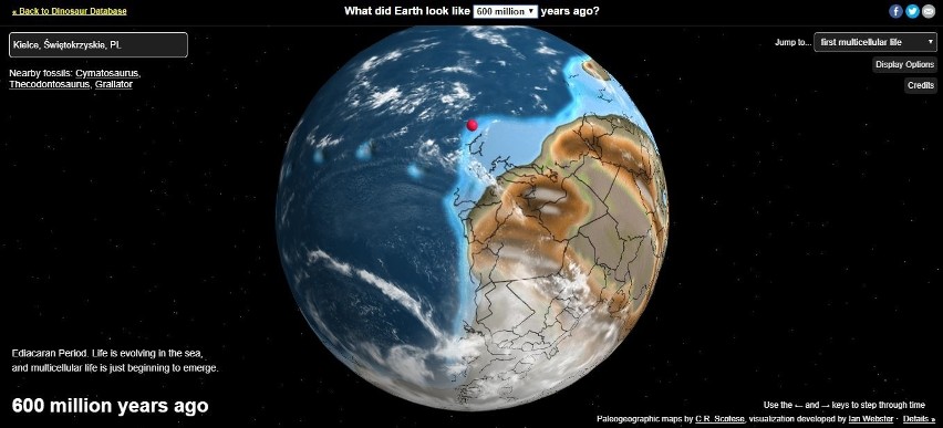 Zastanawialiście się kiedyś, jak miliony lat temu wyglądały...