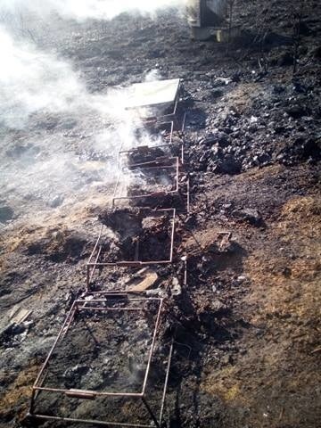 Dąbrówka. W pożarze nieużytków spłonęła pasieka z milionami pszczół [ZDJĘCIA]