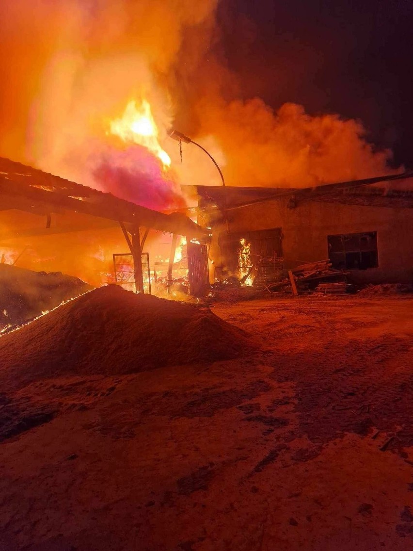16 zastępów strażaków gasiło pożar tartaku w Hadlach Szklarskich w powiecie przeworskim [ZDJĘCIA, WIDEO]