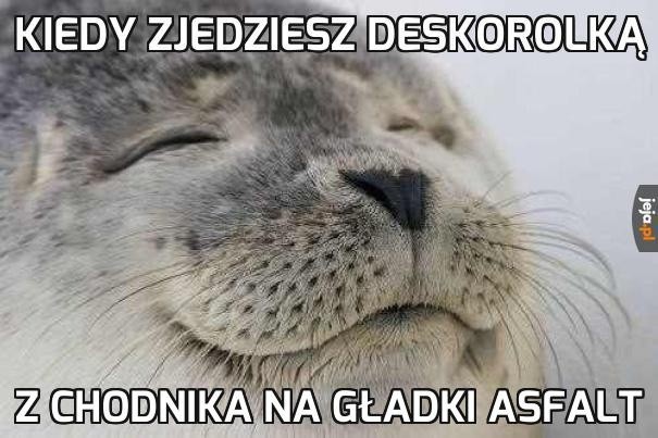 Najlepsze MEMY o fokach!