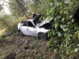 Śmiertelny wypadek na DK74 w okolicy miejscowości Rusiec. Auto uderzyło w drzewo, kierowca nie przeżył