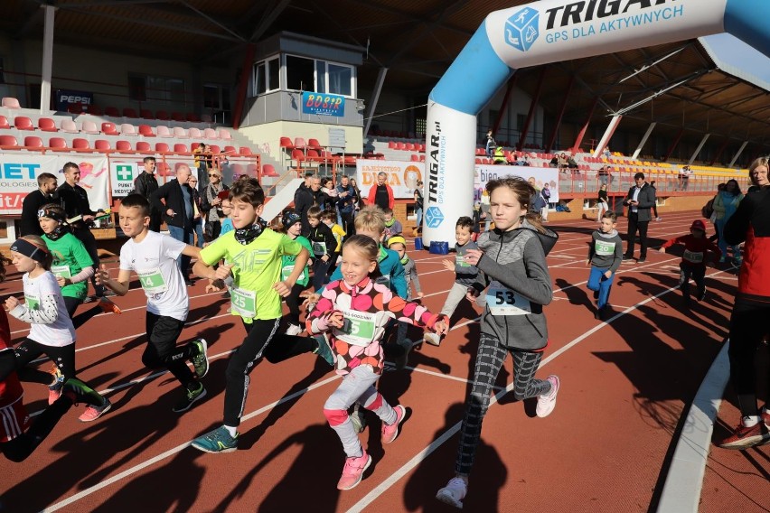 Na stadionie zwierzynieckim w niedzielne, słoneczne południe...