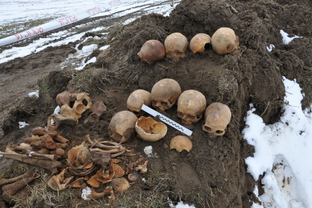 Ludzkie czaszki i kości wykopano na budowie! (zdjęcia, wideo)