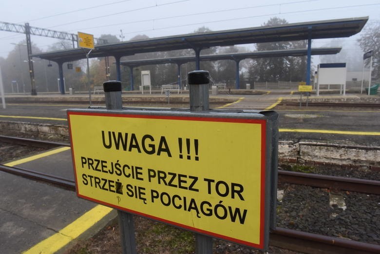 Modernizacja linii kolejowej Czerwieńsk - Sulechów -...