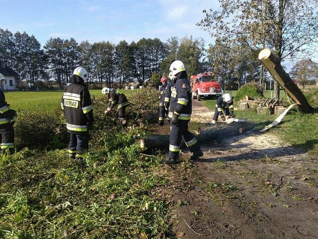 Strażacy z OSP Wrzoski usuwali dziś drzewa blokujące ulicę Nad Stawem w Opolu.