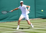 Tenis. Hubert Hurkacz w końcu czuje trawę, Kamil Majchrzak walczy o Wimbledon