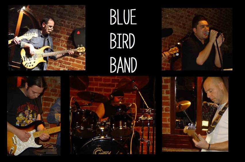 Grupa Blue Bird Band.