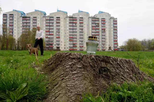 Skwer u zbiegu ul. Unickiej i Walecznych w Lublinie (zdjęcie archiwalne)