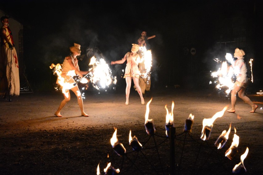 Dębowy Maj Festiwal trwa w Dąbrowie Górniczej