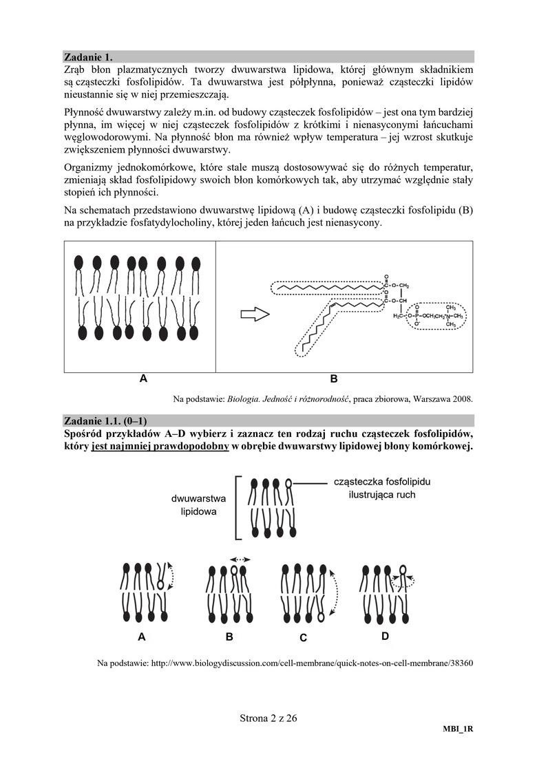 Matura BIOLOGIA. Jakie zadania pojawiły się na zeszłorocznej maturze z biologii? [ARKUSZE] 19.05.2021