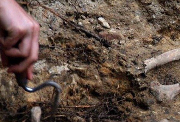 Ludzkie szczątki odkopano na placu budowy myjni w Świerkocinie