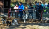 Myślęcińskie zoo zaprasza w święta 