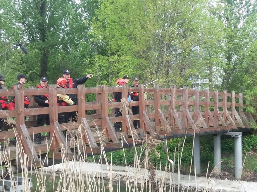 Nad Brynicą we wtorek, 16 maja, trwały poszukiwania...