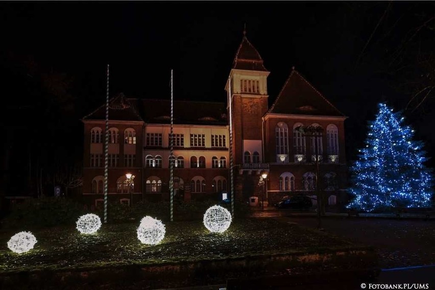 W Sopocie odpalono świąteczne iluminacje [zdjęcia]
