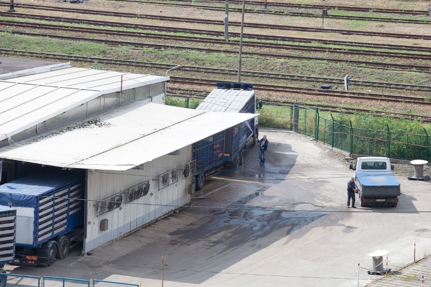 W taki sposób na terenie zakładu transportowane są odpady z...