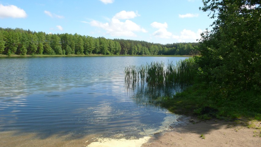 Jezioro w Józefowie jest niewielkie, ale bardzo malownicze