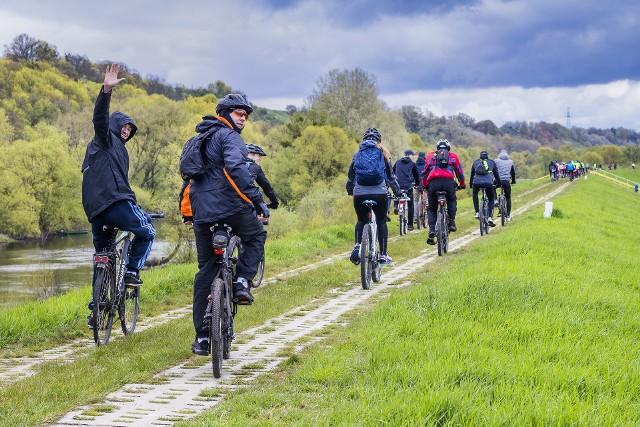 Rowerzyści na lewobrzeżnym odcinku Wiślanej Trasy Rowerowej między Świeciem a Bydgoszczą.