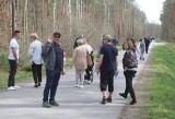 Niedziela wielkanocna w Królewskich Źródłach w Puszczy Kozienickiej. Mnóstwo osób wybrało się na spacer. Zobacz zdjęcia 