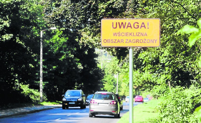 W mieście obowiązuje obszar zagrożony. Obejmuje kilka...