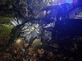 Samochód uderzył w drzewo. Jedna osoba w szpitalu