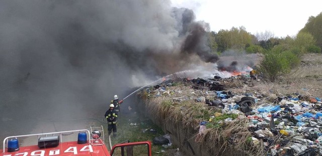 Słup czarnego dymu wzbił się w środowe przedpołudnie w niebo nad Radoszycami w powiecie koneckim. Jak informowali strażacy, paliło się nieczynne wysypisko śmieci przy ulicy Kieleckiej. Płonęły miedzy innymi opony. Z pożarem mającym powierzchnię około 600 metrów kwadratowych przez ponad 2,5 godziny walczyło siedem zastępów strażaków. Przyczyną pożaru mogło być podpalenie.Więcej zdjęć na kolejnych slajdach.ZOBACZ TAKŻE: FLESZ 500 plus na każde dzieckoŹródło: vivi24