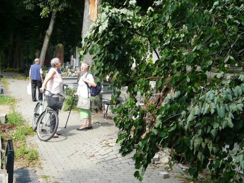 Pabianice sprzątają po burzy. Masakra na bulwarach, wycieczki na zniszczony po nawałnicy cmentarz ZDJĘCIA